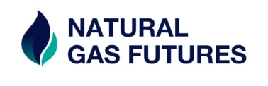 Natural Gas Features Logo
